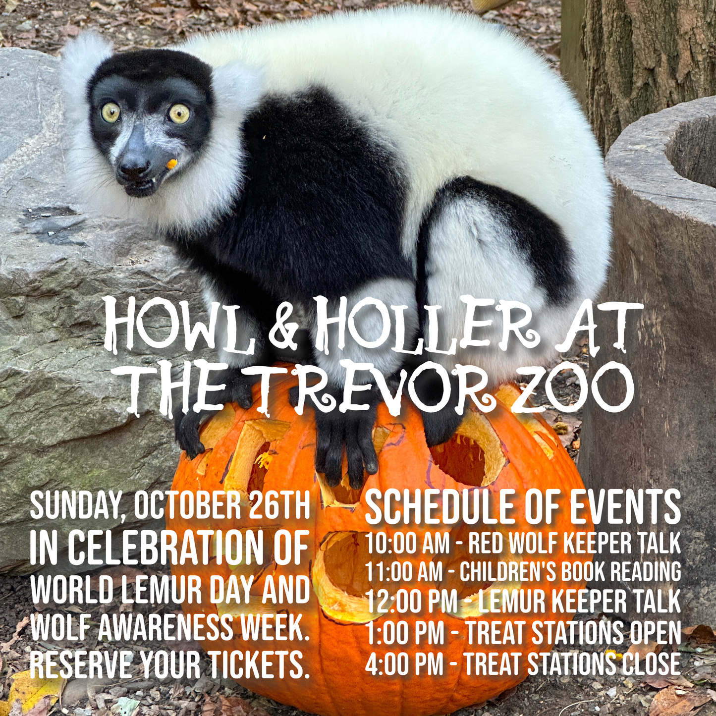 Reservation - Howl & Holler
