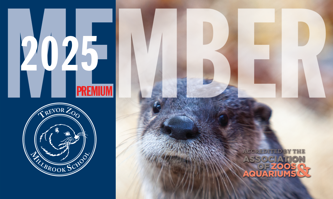 Trevor-Lovejoy Zoo Membership: Premium