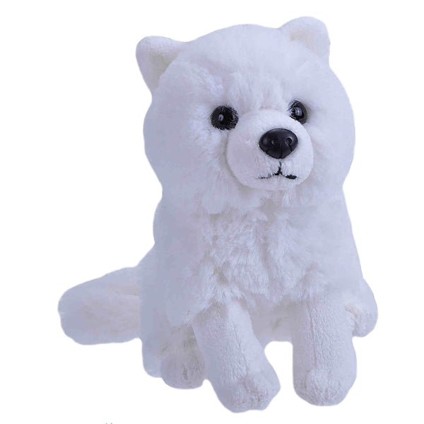 Lil' Arctic Fox
