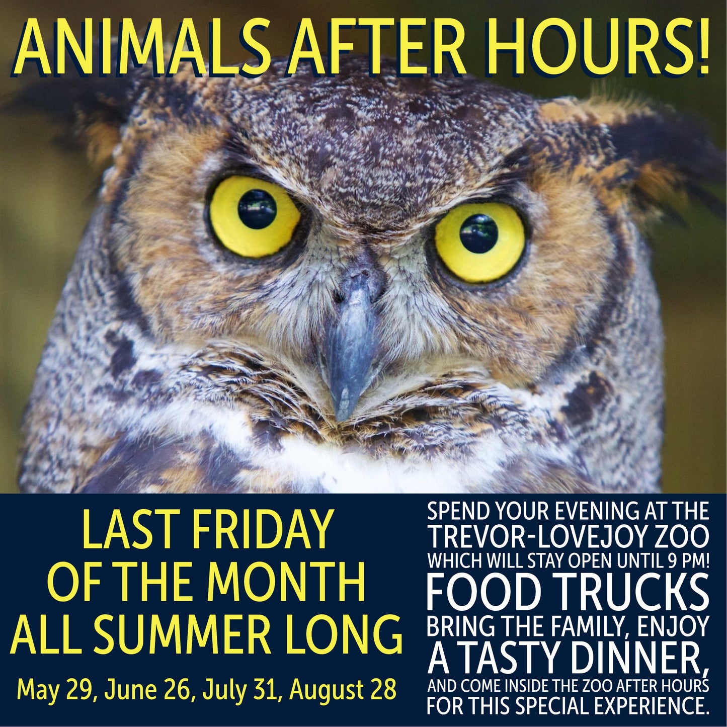 Reservation - Animals After Hours