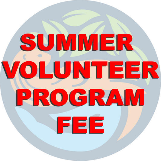 2025 Summer Volunteer Program Fee