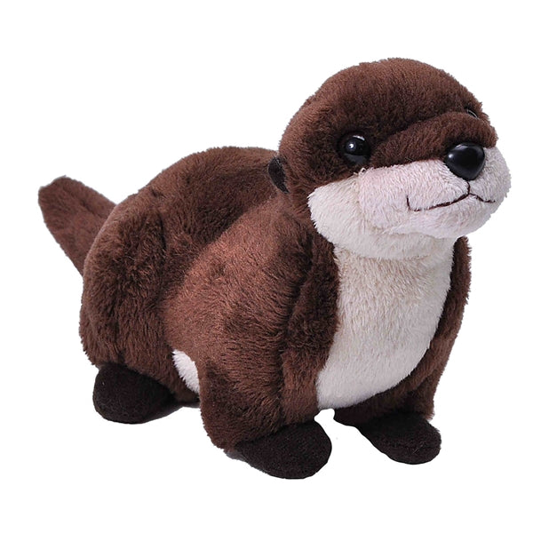 Lil' River Otter